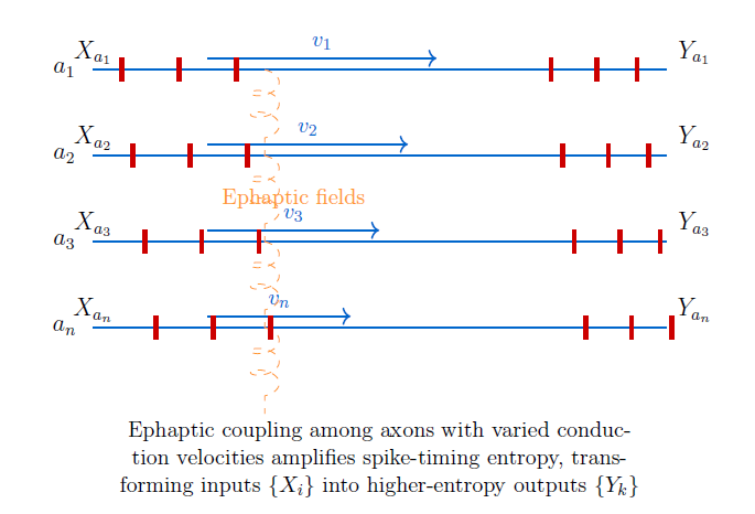 Description of figure